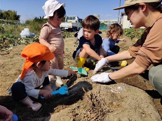ESL students picking sweet potatoes during a Hoshida International field trip